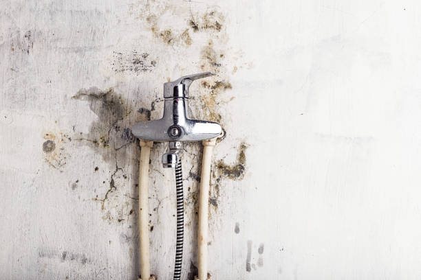 Best Mold Removal Near Me  in Saratoga Springs, UT