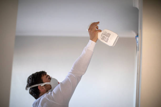 Best Mold Remediation Services  in Saratoga Springs, UT