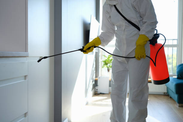 Professional Mold Removal in Saratoga Springs, UT