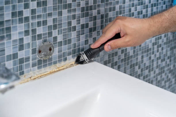 Best Mold Remediation Experts  in Saratoga Springs, UT