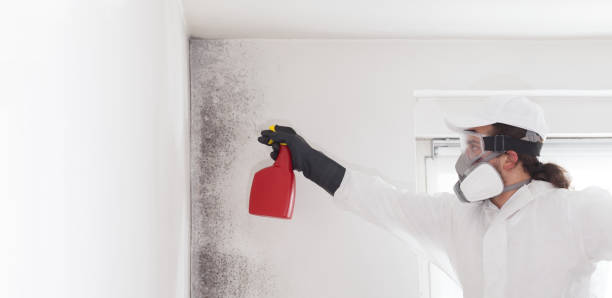 Best Mold Testing  in Saratoga Springs, UT