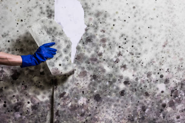 Water Damage Restoration in Saratoga Springs, UT